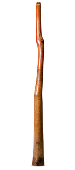 Tristan O'Meara Didgeridoo (TM451)
